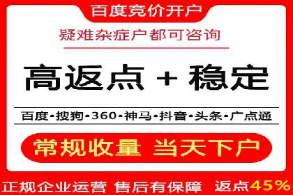 百度SEO推广策略：如何快速提升网站排名？——案例详解